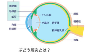 Uveitis-title-830x510-1-
