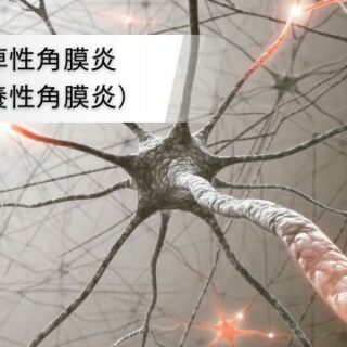 神経麻痺性角膜炎（神経栄養性角膜炎） - Takada Eye Health Group