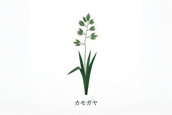カモガヤの花粉を示した季節性アレルギー性結膜炎向けイラスト